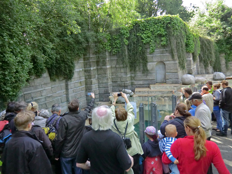 Besucher/innen am großen Außengehege für Eisbären am 8. Juni 2012 im Wuppertaler Zoo