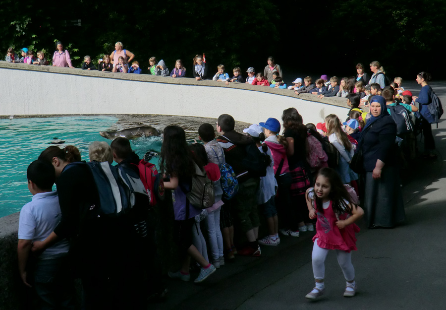 Besuchergruppen am 2. Juli 2012 im Wuppertaler Zoo