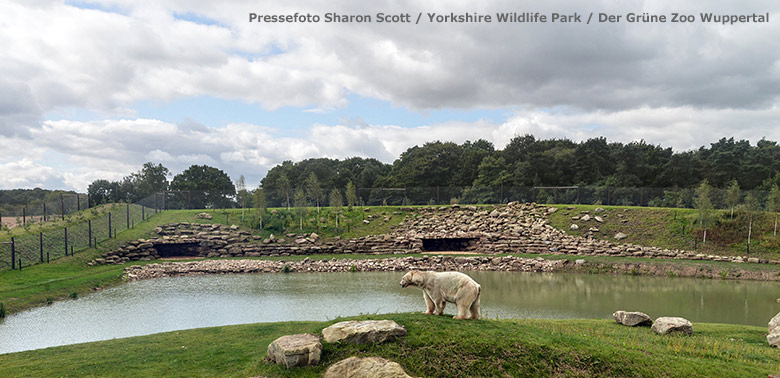 Die Eisbären-Anlage PROJECT POLAR am 18. August 2014 im Yorkshire Wildlife Park (Pressefoto Yorkshire Wildlife Park - Der Grüne Zoo Wuppertal)