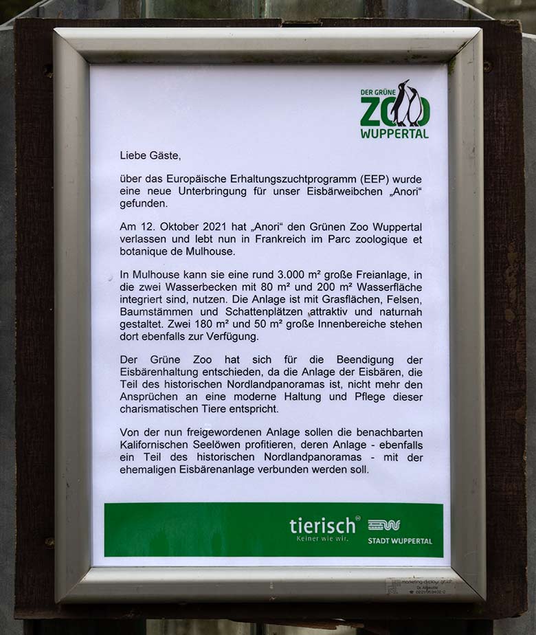 Aushang am 26. Oktober 2021 am leeren ehemaligen Eisbären-Gehege im Grünen Zoo Wuppertal zur Abreise der charismatischen Eisbärin ANORI nach Frankreich zum Parc zoologique et botanique de Mulhouse