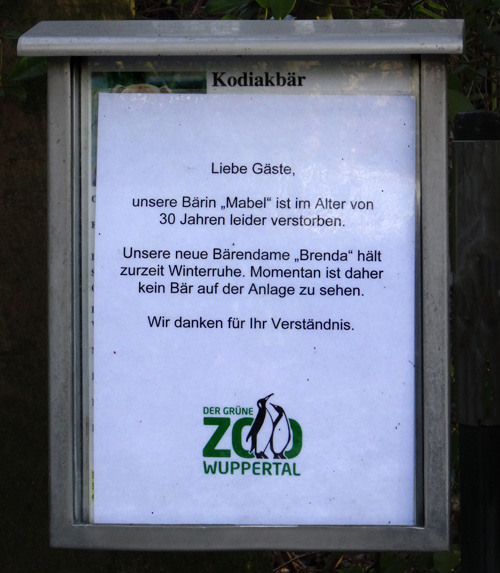 Information am 22. Januar 2016 an der Braunbärenanlage im Grünen Zoo Wuppertal zum Tod der Kodiakbärin "Mabel"