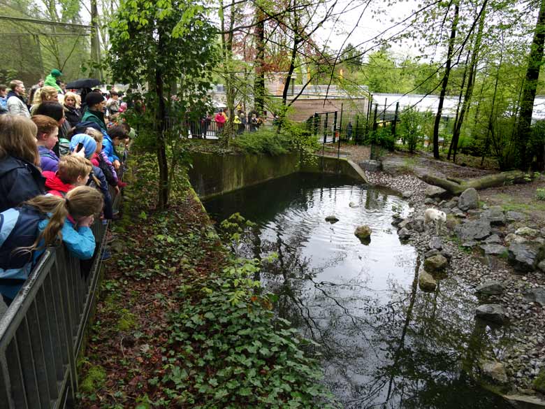 Kommentierte Fütterung am Tag des Wolfes im Zoo Wuppertal am 30. April 2016