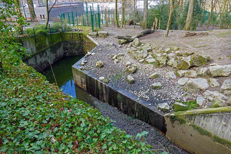 Abgesenkter Wasserstand am 19. März 2021 im Wassergraben auf der Außenanlage der Asiatischen Rothunde im Zoologischen Garten Wuppertal