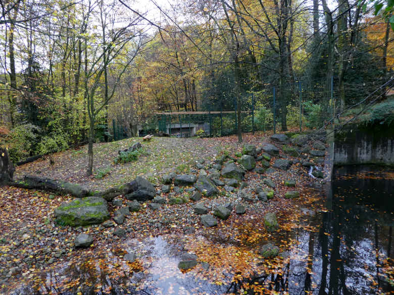 Blick auf die Wolfsanlage am 19. November 2017 im Grünen Zoo Wuppertal