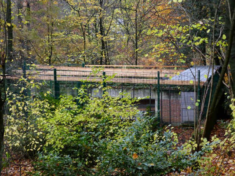 Blick auf das Vorgehege am Wolfshaus am 19. November 2017 im Zoologischen Garten der Stadt Wuppertal