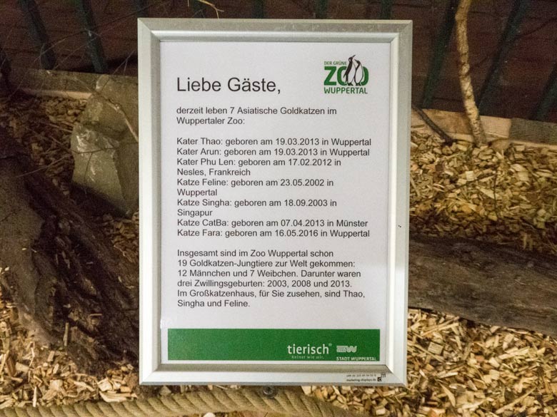 Aushang am 6. Januar 2018 mit einer Auflistung der seinerzeit sieben im Wuppertaler Zoo lebenden Asiatischen Goldkatzen