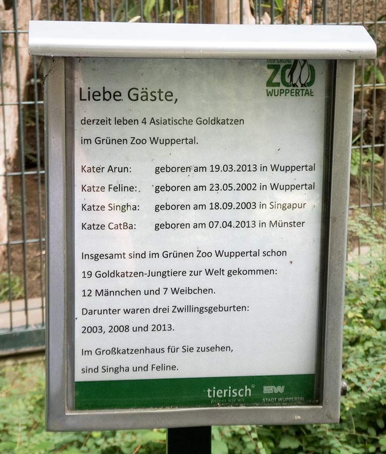 Aushang am 21. August 2018 mit einer Auflistung der derzeit vier im Grünen Zoo Wuppertal lebenden Asiatischen Goldkatzen