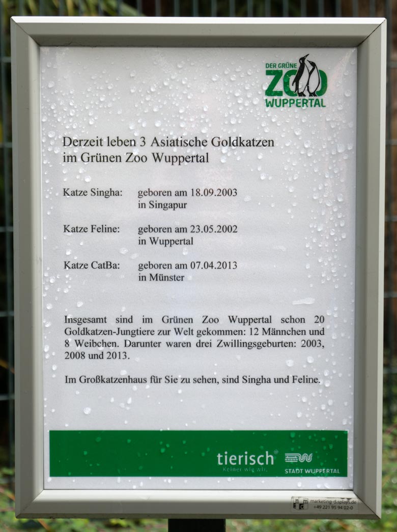 Ausschilderung zu den Asiatischen Goldkatzen am 27. September 2020 am Außengehege am ehemaligen Großkatzen-Haus im Grünen Zoo Wuppertal