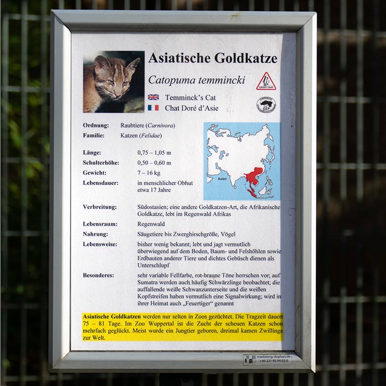 Ausschilderung der Tierart Asiatische Goldkatze am 16. November 2022 an der Außenanlage am Großkatzen-Haus im Grünen Zoo Wuppertal