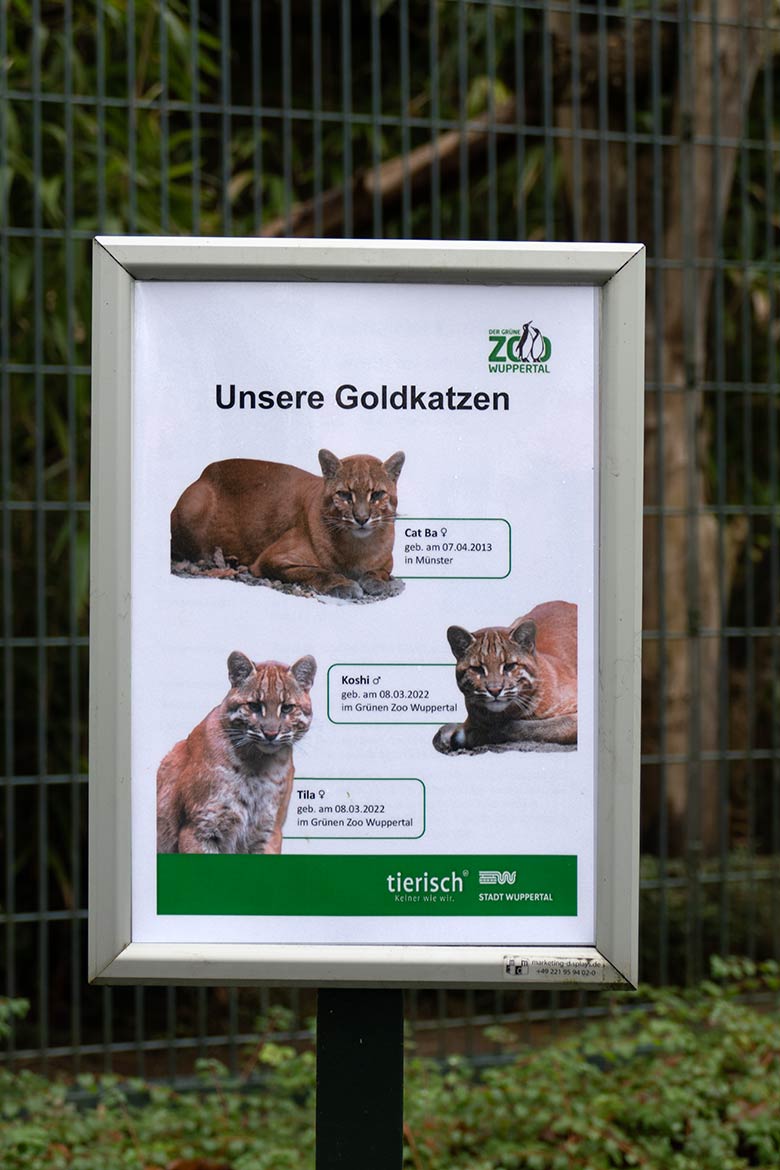 Aushang 'Unsere Goldkatzen' am 20. Dezember 2022 am Großkatzen-Haus im Grünen Zoo Wuppertal