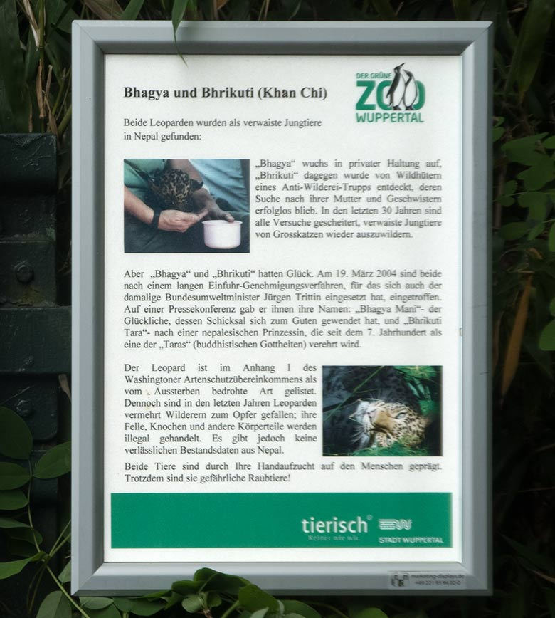 Aushang zum Schicksal der beiden Indischen Leoparden BHAGYA und BHRIKUTI  (KHAN CHI) am 3. Juni 2020 an der Außenanlage am Großkatzen-Haus im Grünen Zoo Wuppertal