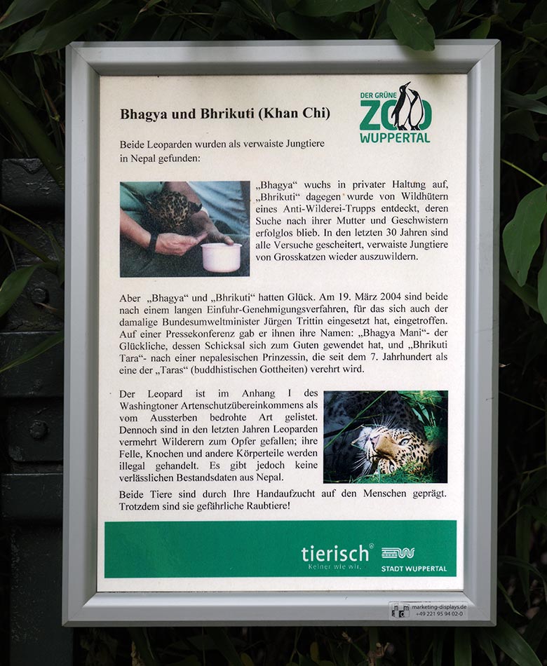 Information zu den Indischen Leoparden BHAGYA und BHRIKUTI am 22. Oktober 2020 am Außengehege am Großkatzen-Haus im Grünen Zoo Wuppertal