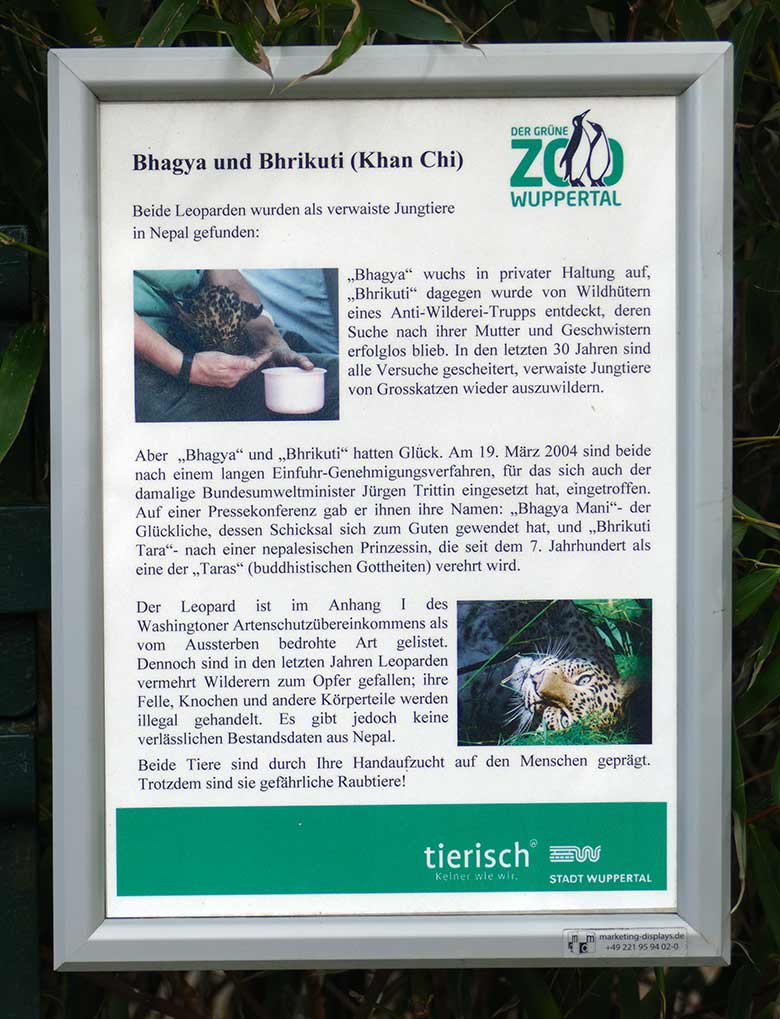 Information zu den beiden Indischen Leoparden BHAGYA und BHRIKUTI am 20. März 2021 an der Außenanlage am Großkatzen-Haus im Grünen Zoo Wuppertal