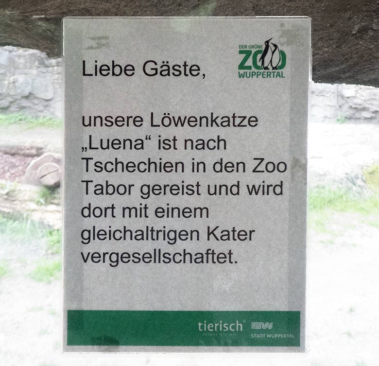 Aushang am 10. Juni 2019 im Grünen Zoo Wuppertal zur Abreise der Afrikanischen Löwin LUENA nach Tschechien in den Zoo Tabor