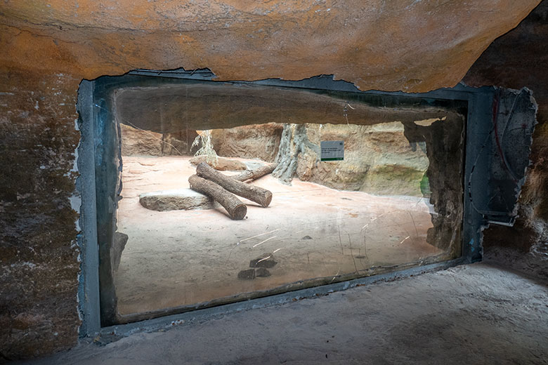 Abgeschlagener Kunstfelsen an der beschädigten Glasscheibe am Innen-Schaugehege im Löwen-Haus am 5. Juni 2024 im Wuppertaler Zoo