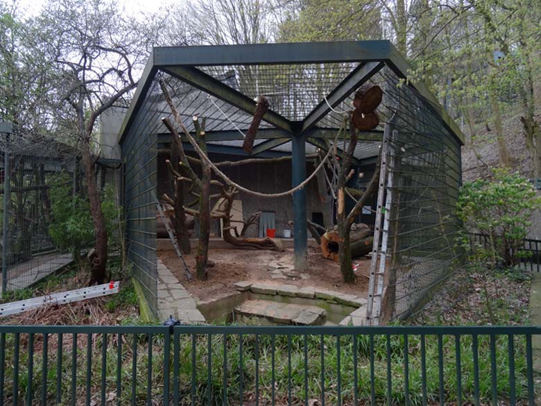 Umgestaltung der Außenanlage für Nebelparder am 13. April 2016 im Grünen Zoo Wuppertal