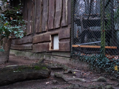 Zusätzliches Schnuppergitter in der Anlage der Schneeleoparden im Zoologischen Garten der Stadt Wuppertal am 13. November 2015