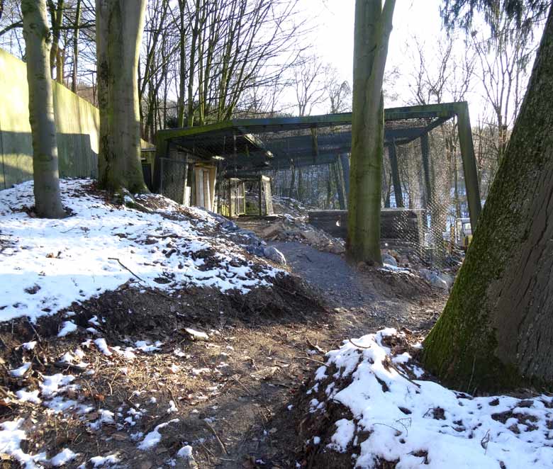 Baustelle der neuen Schneeleoparden-Anlage am 21. Januar 2017 im Zoo Wuppertal