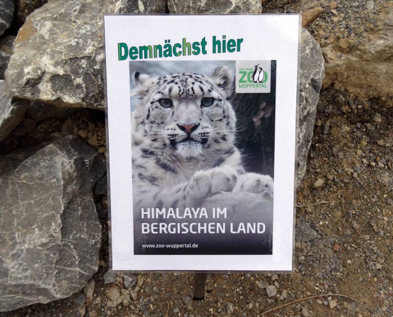 Information HIMALAYA IM BERGISCHEN LAND am 8. April 2017 an der neuen Schneeleopardenanlage im Zoo Wuppertal