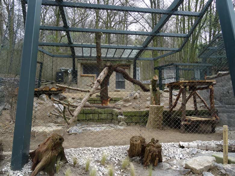 Blick auf das linke Innengehege der neuen Schneeleoparden-Anlage am 8. April 2017 im Wuppertaler Zoo