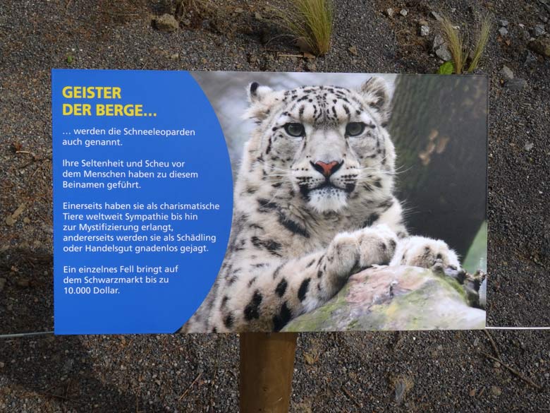 Informationsschild an der neuen Schneeleopardenanlage am 24. April 2017 im Zoo Wuppertal