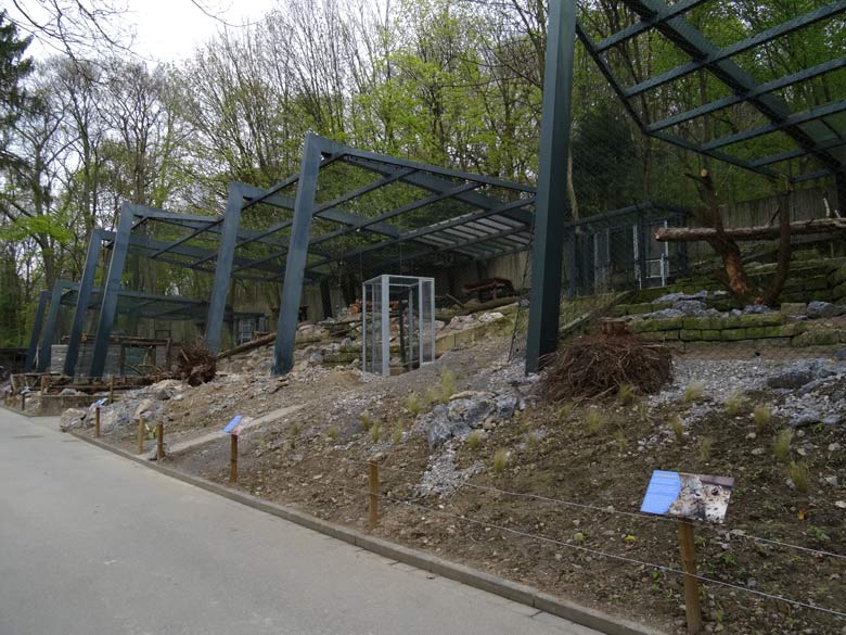 Neue Schneeleopardenanlage am 24. April 2017 im Grünen Zoo Wuppertal