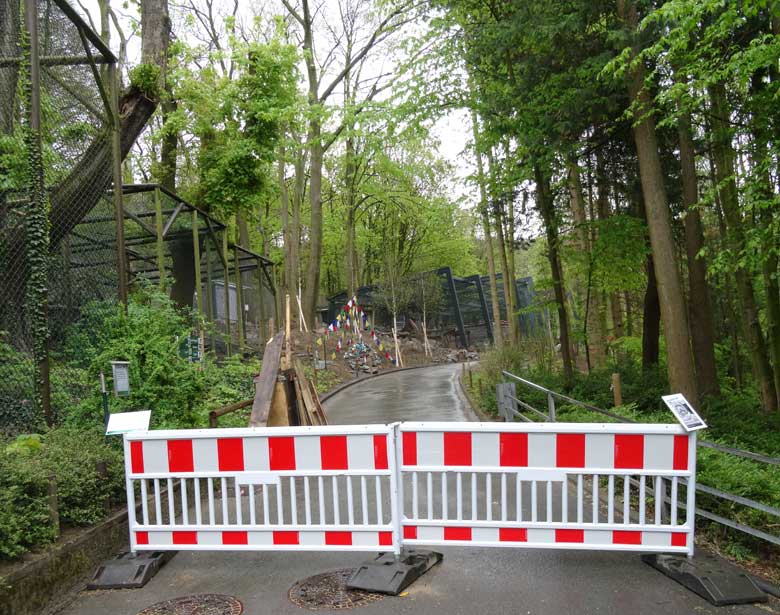 Absperrung des Besucherweges zur neuen Schneeleoparden-Anlage am 1. Mai 2017 im Grünen Zoo Wuppertal