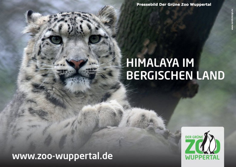 PRESSEBILD: Werbemotiv "Himalaya im Bergischen Land" für die neue Schneeleopardenanlage im Grünen Zoo Wuppertal