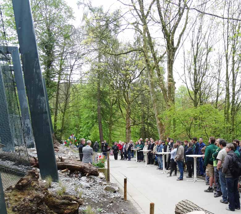 Eröffnung der neuen Schneeleoparden-Anlage am 5. Mai 2017 im Zoo Wuppertal