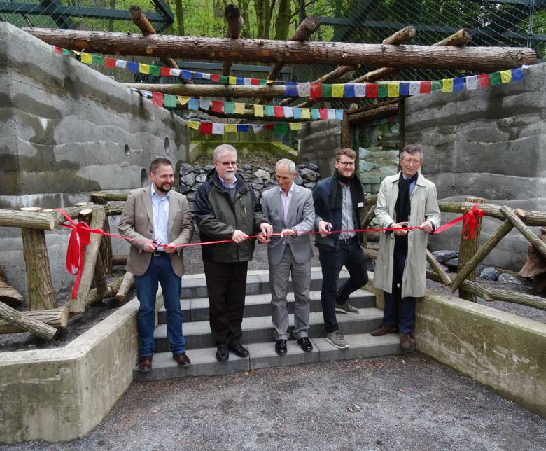 Symbolischer Scherenschnitt zur Eröffnung der neuen Schneeleoparden-Anlage am 5. Mai 2017 im Wuppertaler Zoo