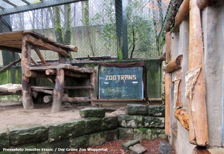 Transportkiste für Schneeleoparden-Kater BAYAN am 22. März 2018 im Wuppertaler Zoo (Pressefoto Jennifer Franic - Der Grüne Zoo Wuppertal)