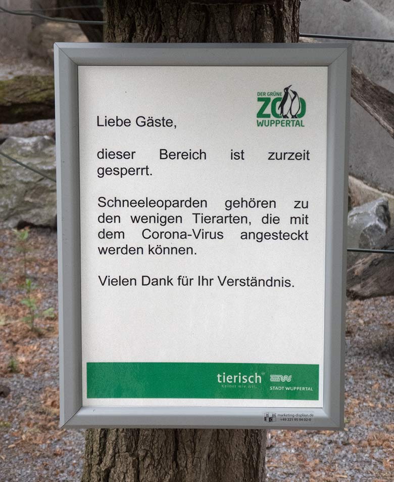Information zur Ansteckungsgefahr für die Schneeleoparden am 24. Mai 2020 an der Himalaya-Außenanlage im Grünen Zoo Wuppertal