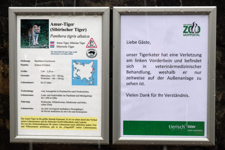 Aushang am 25. Februar 2022 an der größeren Außenanlage im Tiger-Tal im Grünen Zoo Wuppertal