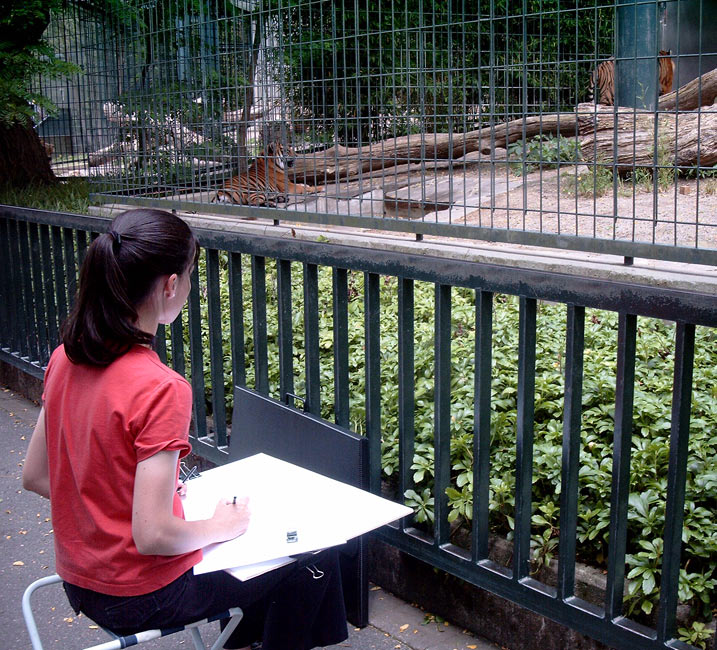 Sumatra-Tiger im Wuppertaler Zoo im Juni 2003