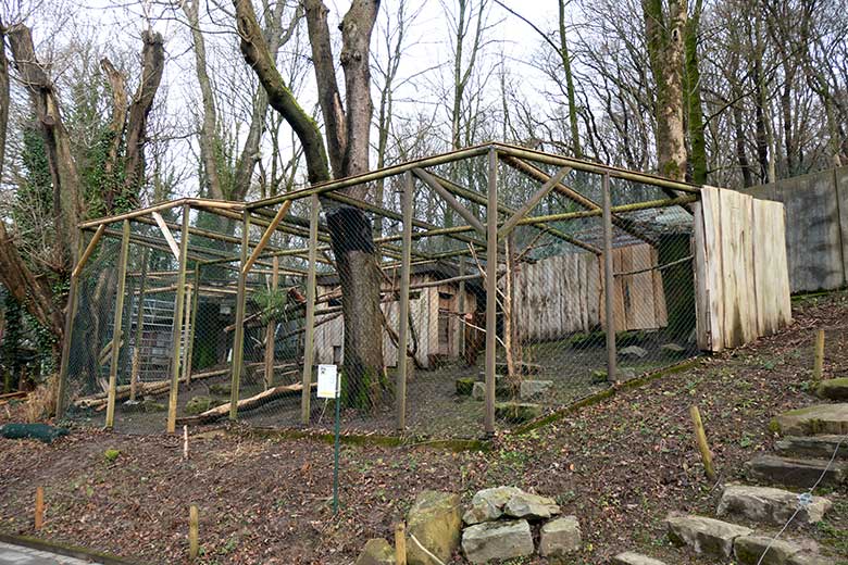 Neben-Anlage für die Kleinen Pandas am 8. Januar 2022 im Zoologischen Garten Wuppertal