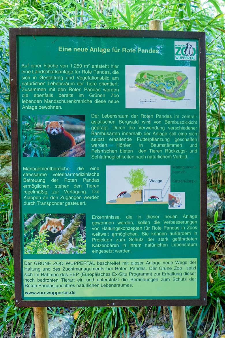 Ältere Information über eine neue Anlage für Rote Pandas am 5. Oktober 2022 vor der neuen Anlage im Grünen Zoo Wuppertal