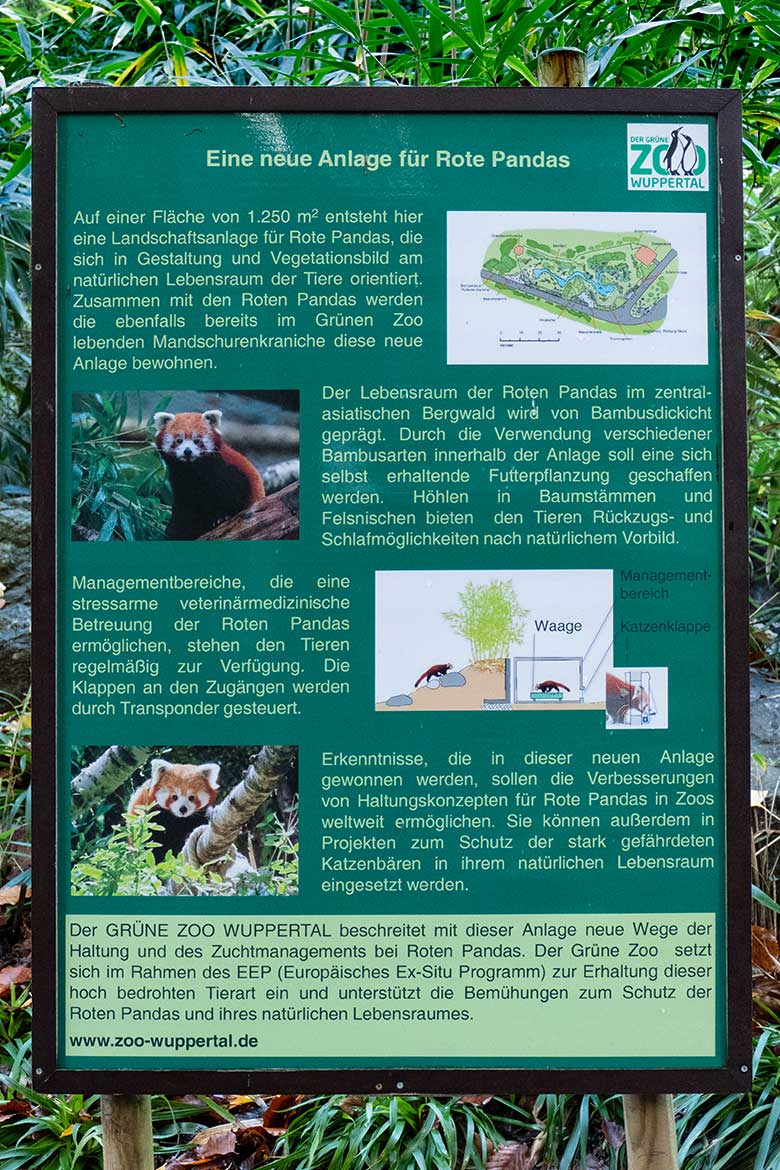 Information zu einer neuen Anlage für Rote Pandas am 18. November 2022 am Rand der neuen Anlage im Grünen Zoo Wuppertal