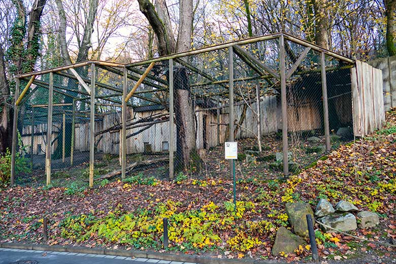 Aktuelle Anlage für Kleine Pandas am 9. Dezember 2022 in der Nähe des Kleinkatzen-Hauses im Wuppertaler Zoo