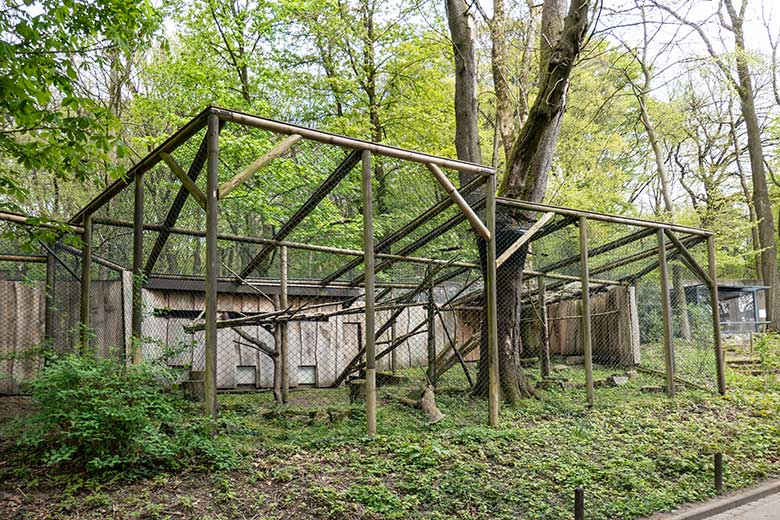 Derzeitige Anlage für Rote Pandas am 2. Mai 2023 in der Nähe des Kleinkatzen-Hauses im Zoologischen Garten der Stadt Wuppertal