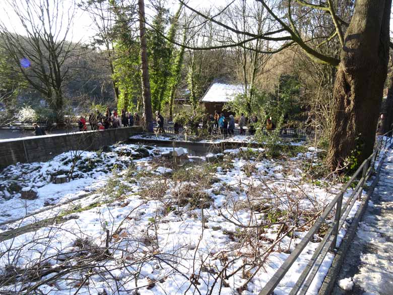 Schneebedeckte Anlage der Erdmännchen am 21. Januar 2017 im Grünen Zoo Wuppertal