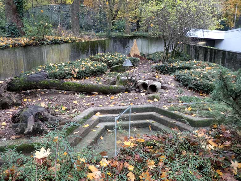Neue "Termiten-Hügel" im hinteren Bereich der Erdmännchen-Anlage am 14. November 2019 im Grünen Zoo Wuppertal