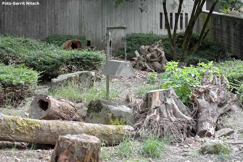 Außenanlage für die Erdmännchen am 7. Juli 2020 im Wuppertaler Zoo (Foto Gerrit Nitsch)