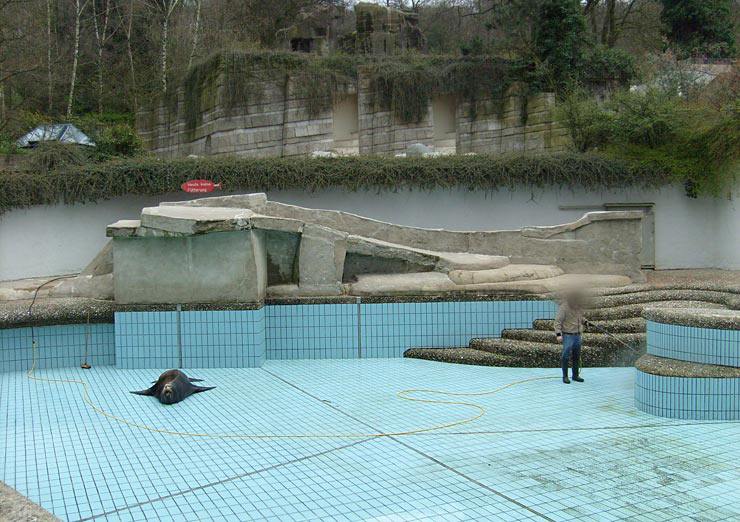 Beckenreinigung bei den Kalifornischen Seelöwen im Zoo Wuppertal im April 2008