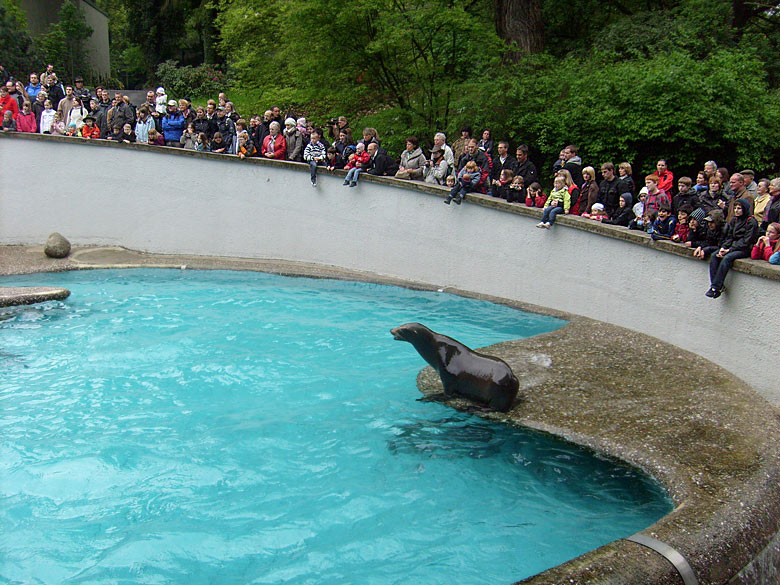 Zuschauer/innen bei der Seelöwen-Fütterung im Wuppertaler Zoo im Mai 2010