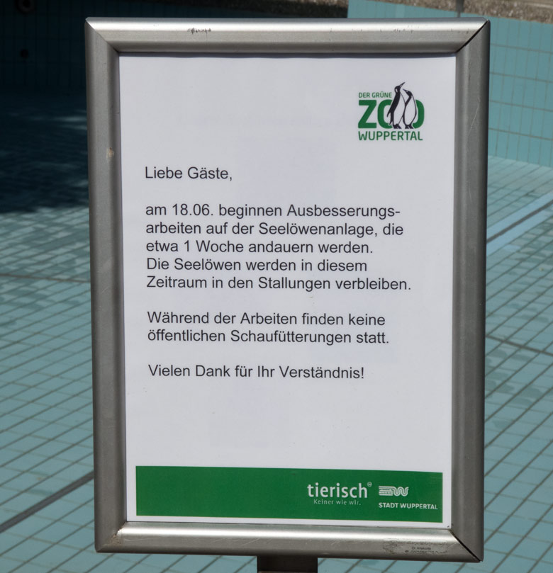 Information zu den Ausbesserungsarbeiten an der Anlage für die Kalifornischen Seelöwen am 20. Juni 2018 im Wuppertaler Zoo