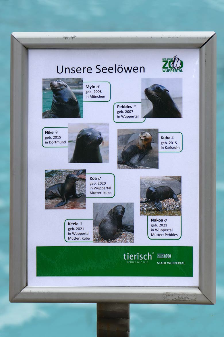 Ausschilderung 'Unsere Seelöwen' am 7. Juli 2021 am Seelöwen-Becken im Grünen Zoo Wuppertal