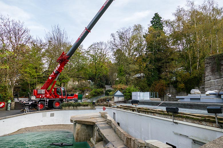 Bauarbeiten für den Umbau der Seelöwen-Anlage am 8. November 2022 im Zoo Wuppertal