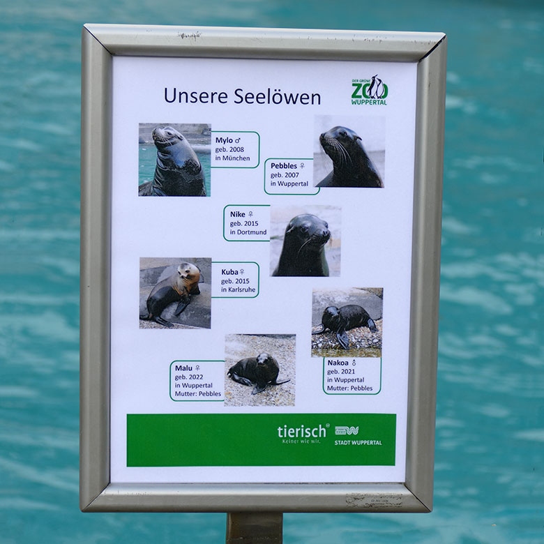 Aktuelle Ausschilderung 'Unsere Seelöwen' am 9. November 2022 am Rand der Anlage für die Kalifornischen Seelöwen im Grünen Zoo Wuppertal