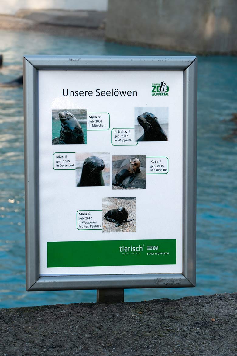 Aushang 'Unsere Seelöwen' am 8. Februar 2023 am Rand des Beckens für die Kalifornischen Seelöwen im Grünen Zoo Wuppertal