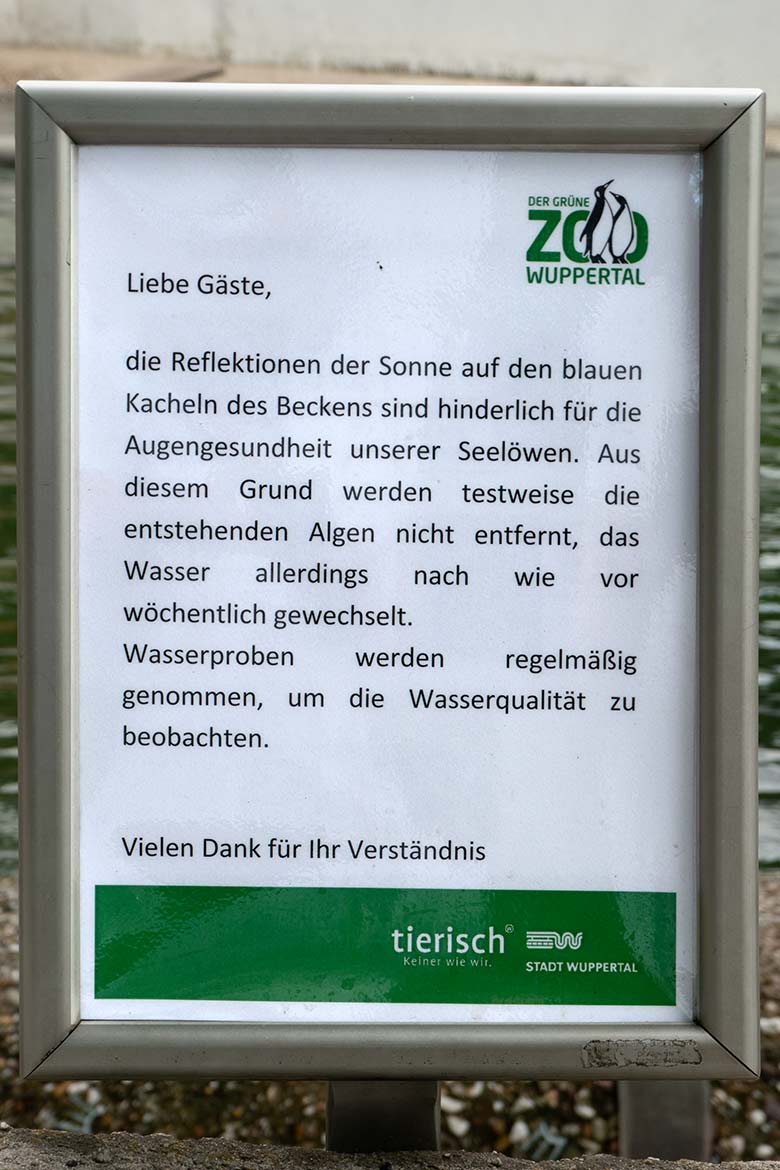 Aushang zu Algen im Seelöwen-Becken am 10. Juni 2023 an der Anlage der Kalifornischen Seelöwen im Grünen Zoo Wuppertal